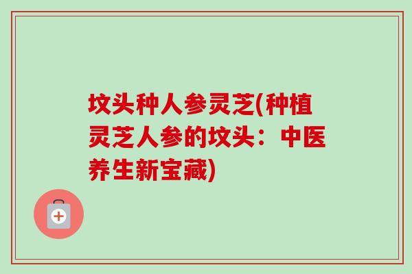 坟头种人参灵芝(种植灵芝人参的坟头：中医养生新宝藏)