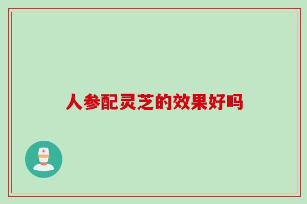 人参配灵芝的效果好吗