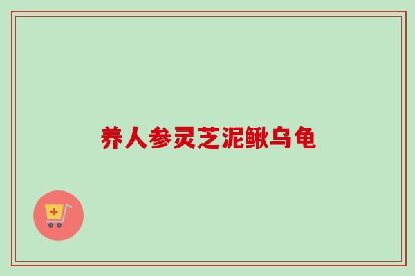 养人参灵芝泥鳅乌龟