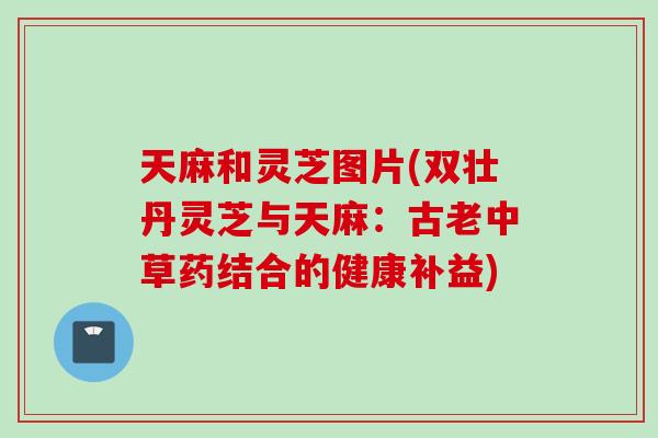 天麻和灵芝图片(双壮丹灵芝与天麻：古老中草药结合的健康补益)
