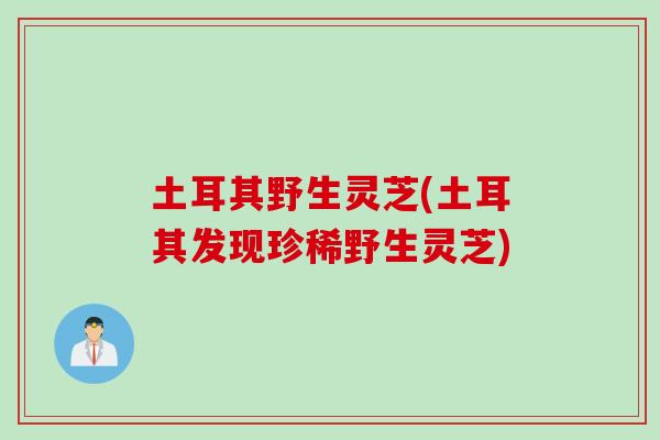 土耳其野生灵芝(土耳其发现珍稀野生灵芝)