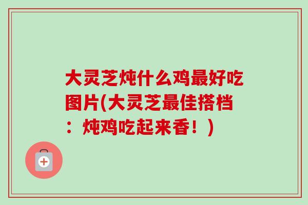 大灵芝炖什么鸡最好吃图片(大灵芝最佳搭档：炖鸡吃起来香！)
