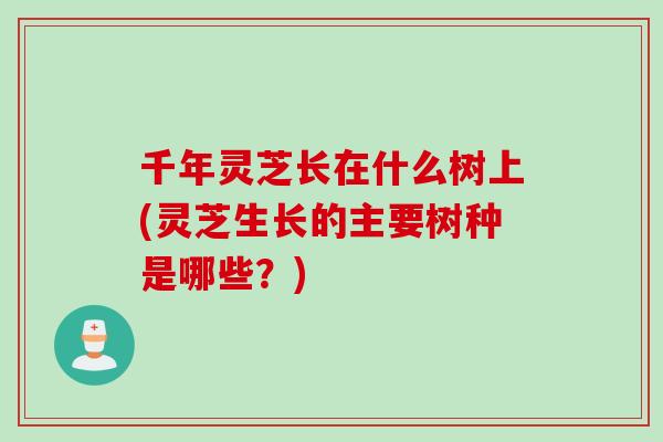 千年灵芝长在什么树上(灵芝生长的主要树种是哪些？)