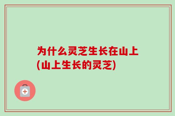 为什么灵芝生长在山上(山上生长的灵芝)