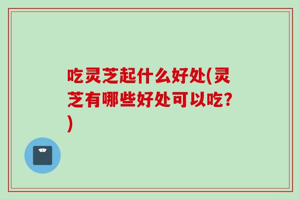 吃灵芝起什么好处(灵芝有哪些好处可以吃？)