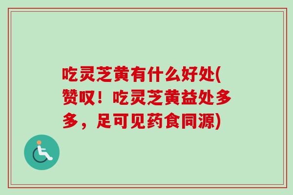 吃灵芝黄有什么好处(赞叹！吃灵芝黄益处多多，足可见药食同源)