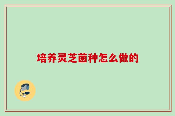 培养灵芝菌种怎么做的