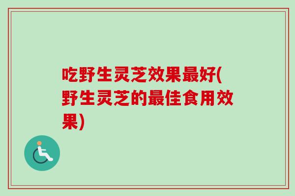 吃野生灵芝效果最好(野生灵芝的最佳食用效果)