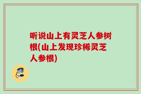 听说山上有灵芝人参树根(山上发现珍稀灵芝人参根)
