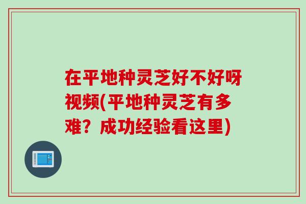 在平地种灵芝好不好呀视频(平地种灵芝有多难？成功经验看这里)