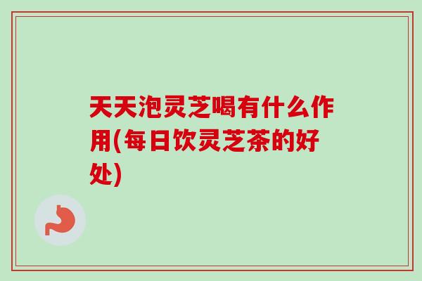 天天泡灵芝喝有什么作用(每日饮灵芝茶的好处)