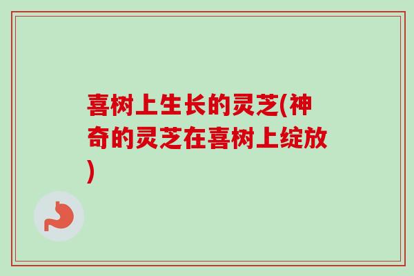 喜树上生长的灵芝(神奇的灵芝在喜树上绽放)