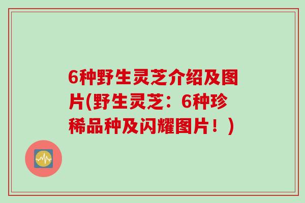 6种野生灵芝介绍及图片(野生灵芝：6种珍稀品种及闪耀图片！)