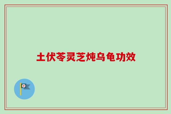 土伏苓灵芝炖乌龟功效