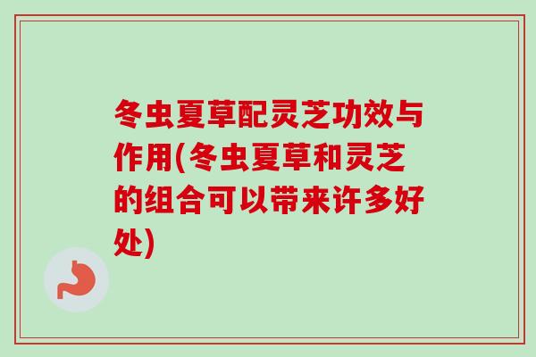 冬虫夏草配灵芝功效与作用(冬虫夏草和灵芝的组合可以带来许多好处)