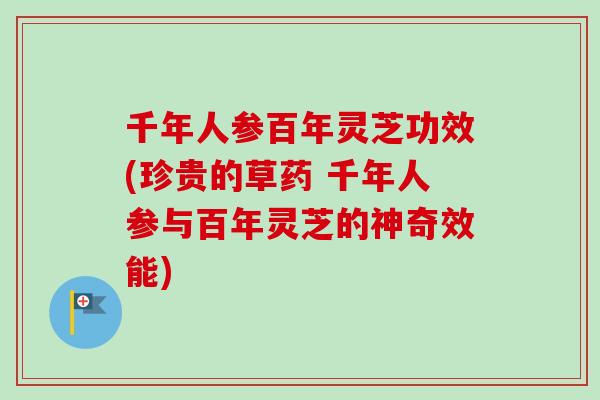千年人参百年灵芝功效(珍贵的草药 千年人参与百年灵芝的神奇效能)