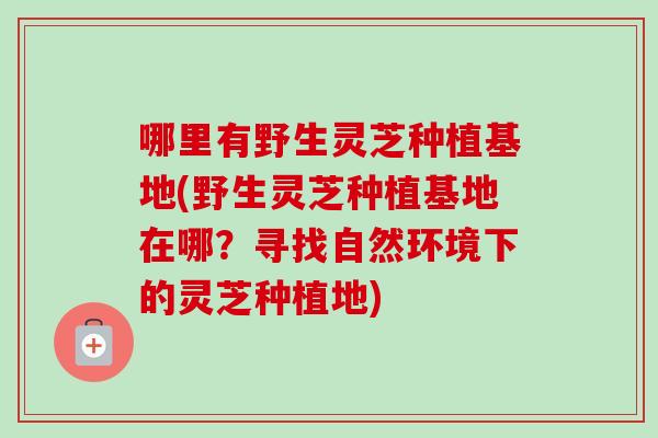 哪里有野生灵芝种植基地(野生灵芝种植基地在哪？寻找自然环境下的灵芝种植地)