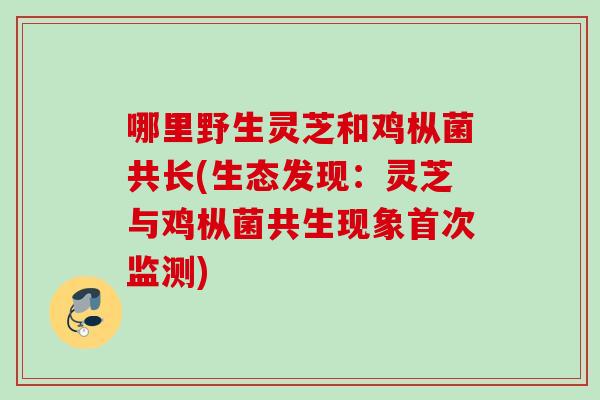 哪里野生灵芝和鸡枞菌共长(生态发现：灵芝与鸡枞菌共生现象首次监测)