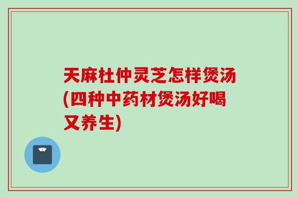 天麻杜仲灵芝怎样煲汤(四种中药材煲汤好喝又养生)