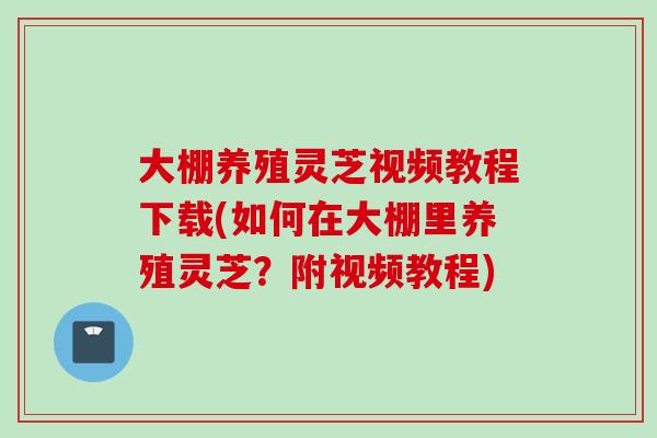 大棚养殖灵芝视频教程下载(如何在大棚里养殖灵芝？附视频教程)
