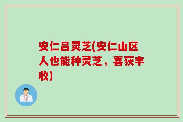 安仁吕灵芝(安仁山区人也能种灵芝，喜获丰收)