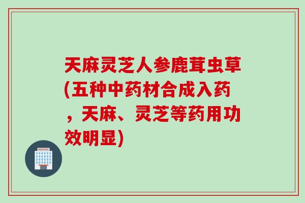 天麻灵芝人参鹿茸虫草(五种中药材合成入药，天麻、灵芝等药用功效明显)