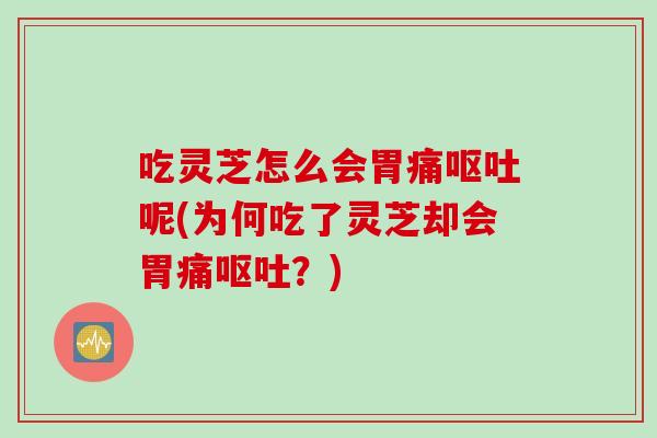 吃灵芝怎么会胃痛呕吐呢(为何吃了灵芝却会胃痛呕吐？)