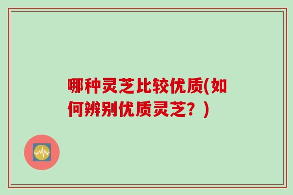 哪种灵芝比较优质(如何辨别优质灵芝？)