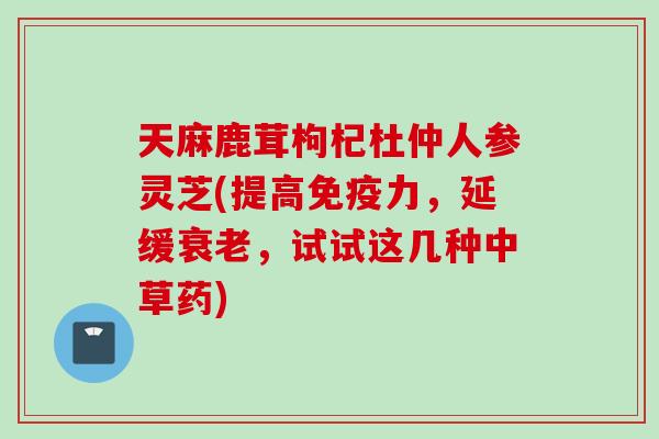 天麻鹿茸枸杞杜仲人参灵芝(提高免疫力，延缓衰老，试试这几种中草药)