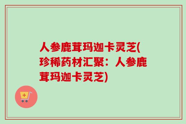 人参鹿茸玛迦卡灵芝(珍稀药材汇聚：人参鹿茸玛迦卡灵芝)