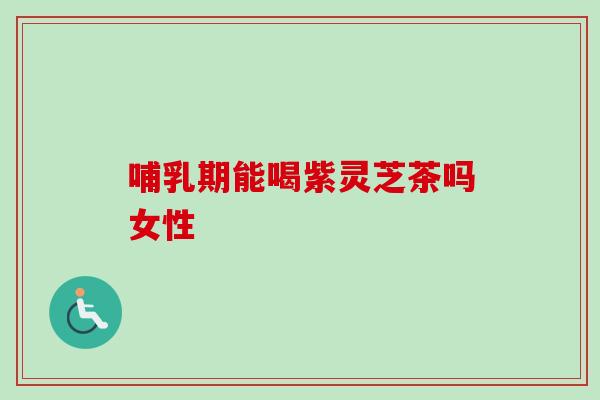 哺乳期能喝紫灵芝茶吗女性