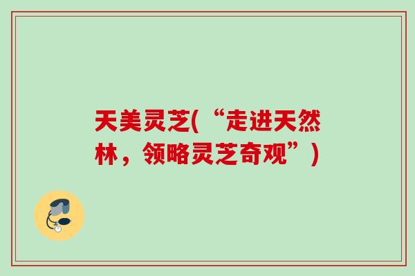 天美灵芝(“走进天然林，领略灵芝奇观”)