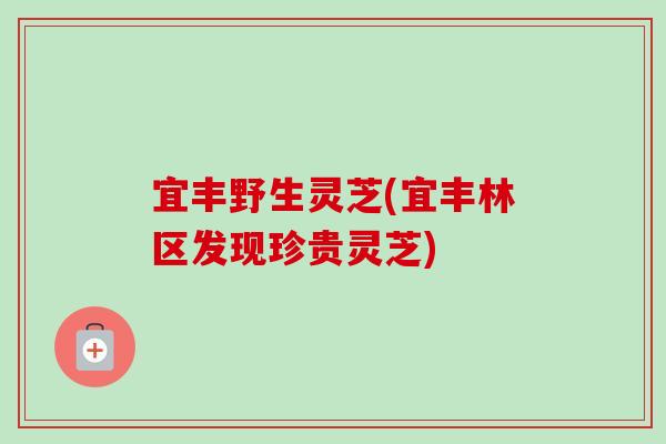 宜丰野生灵芝(宜丰林区发现珍贵灵芝)