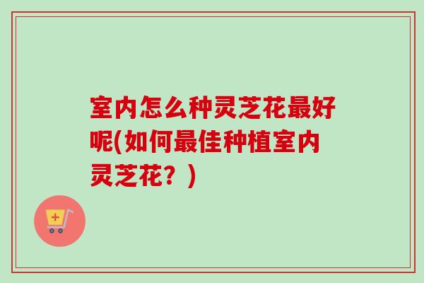 室内怎么种灵芝花最好呢(如何最佳种植室内灵芝花？)