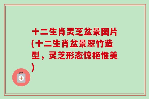 十二生肖灵芝盆景图片(十二生肖盆景翠竹造型，灵芝形态惊艳惟美)
