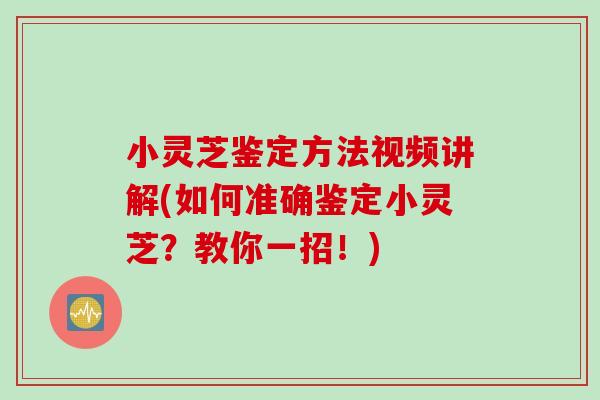 小灵芝鉴定方法视频讲解(如何准确鉴定小灵芝?教你一招!) 小灵芝鉴定方法视频讲解(如何准确鉴定小灵芝?教你一招!)