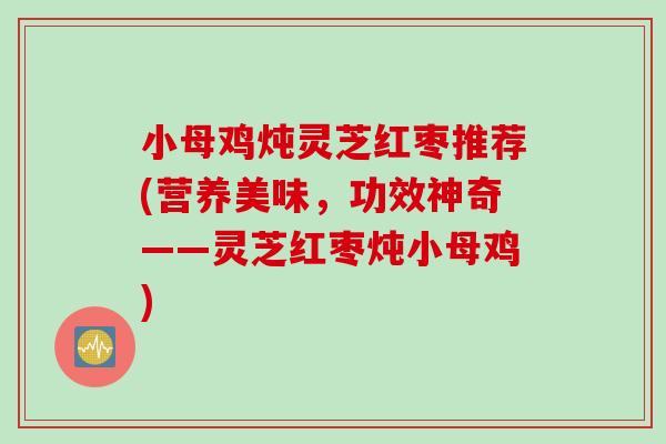 小母鸡炖灵芝红枣推荐(营养美味，功效神奇——灵芝红枣炖小母鸡)