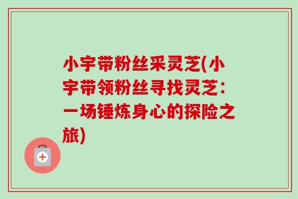 小宇带粉丝采灵芝(小宇带领粉丝寻找灵芝：一场锤炼身心的探险之旅)