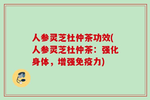 人参灵芝杜仲茶功效(人参灵芝杜仲茶：强化身体，增强免疫力)