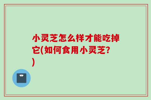 小灵芝怎么样才能吃掉它(如何食用小灵芝?) 小灵芝怎么样才能吃掉它(如何食用小灵芝?)