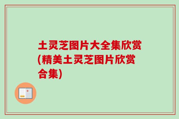 土灵芝图片大全集欣赏(精美土灵芝图片欣赏合集) 土灵芝图片大全集欣赏(精美土灵芝图片欣赏合集)