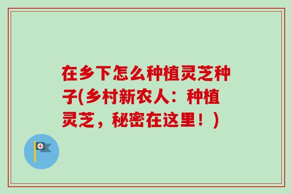 在乡下怎么种植灵芝种子(乡村新农人：种植灵芝，秘密在这里！)