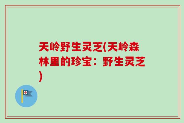 天岭野生灵芝(天岭森林里的珍宝:野生灵芝) 天岭野生灵芝(天岭森林里的珍宝:野生灵芝)