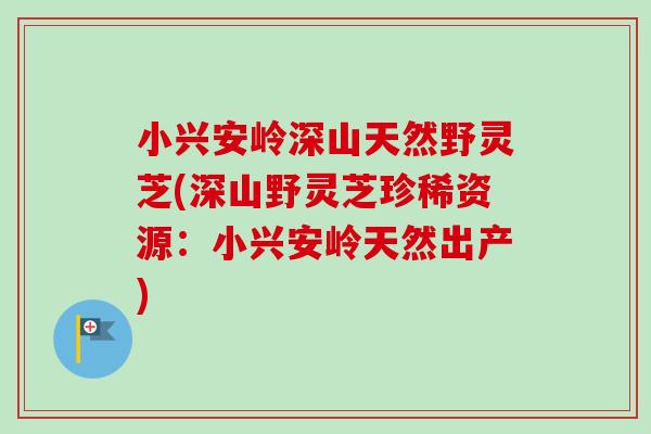 小兴安岭深山天然野灵芝(深山野灵芝珍稀资源：小兴安岭天然出产)