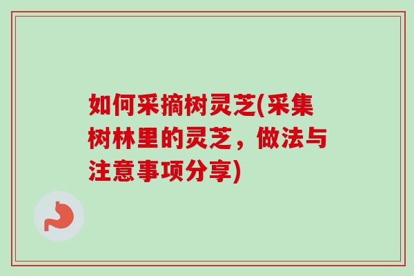 如何采摘树灵芝(采集树林里的灵芝，做法与注意事项分享)