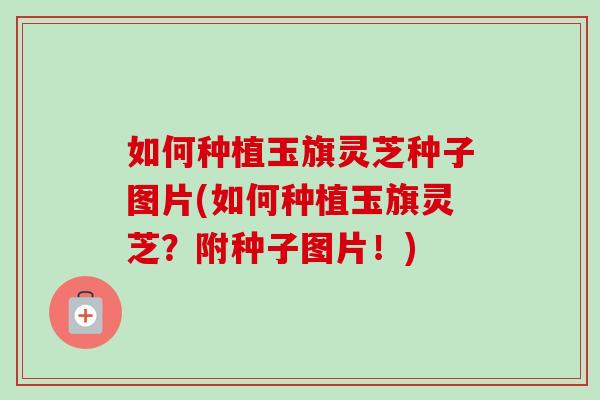 如何种植玉旗灵芝种子图片(如何种植玉旗灵芝？附种子图片！)