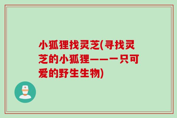 小狐狸找灵芝(寻找灵芝的小狐狸——一只可爱的野生生物)