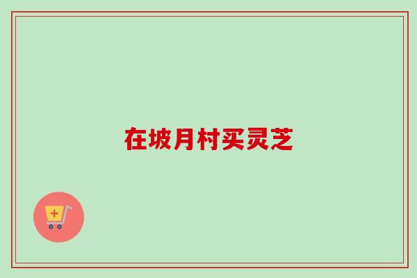 在坡月村买灵芝