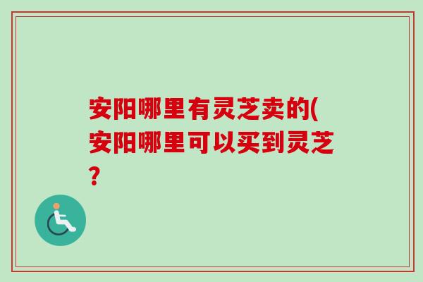 安阳哪里有灵芝卖的(安阳哪里可以买到灵芝？