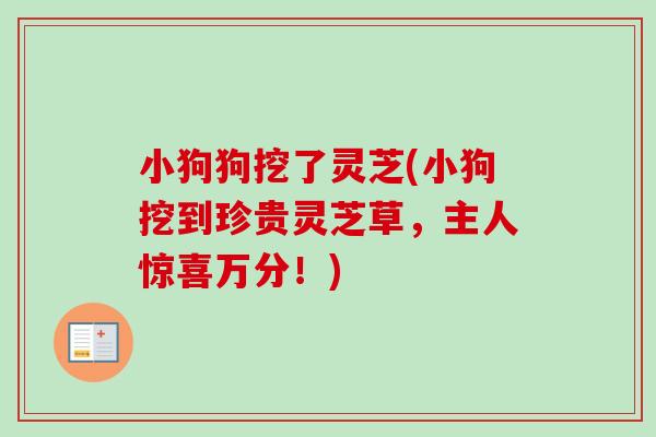 小狗狗挖了灵芝(小狗挖到珍贵灵芝草，主人惊喜万分！)